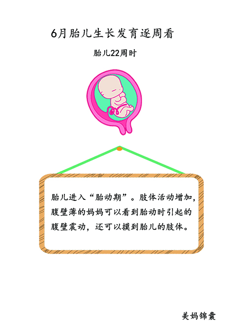 胎儿21周至23周的变化,胎儿21天的样子