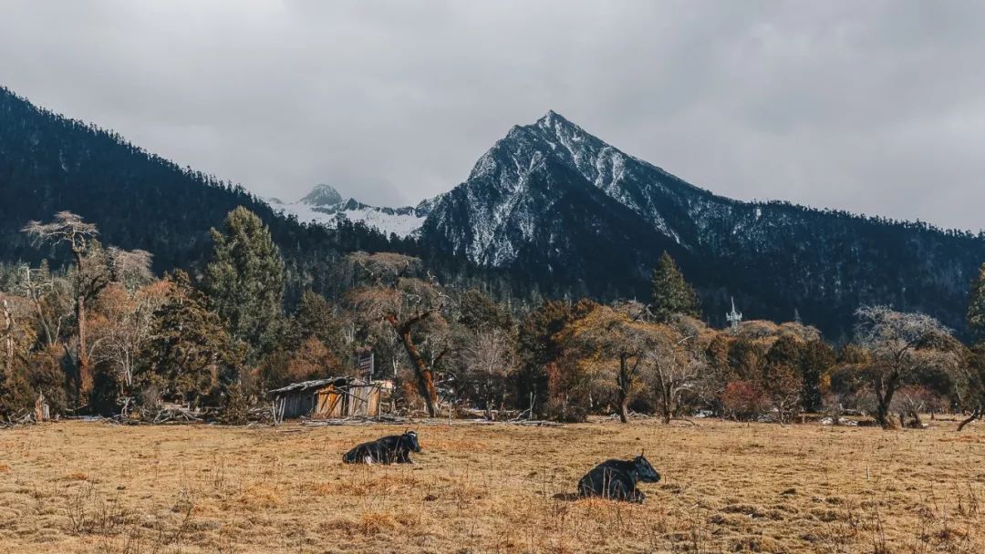 魔幻城市旅游景观,魔幻山城旅游感受