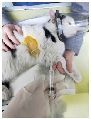 熊孩子气炸家长,气炸家长熊孩子