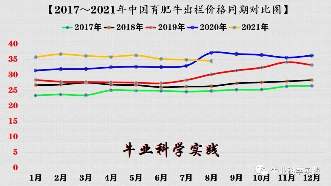 2022年中国肉牛行情走势分析报告,2024年六月份肉牛行情走势
