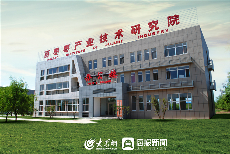 新枣山东特产乐陵金丝小枣1000g,乐陵正宗金丝小枣