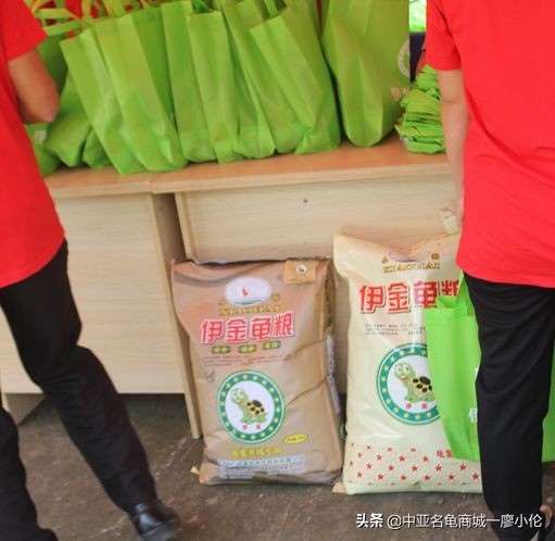 沙琅龟协会,沙琅乌龟协会