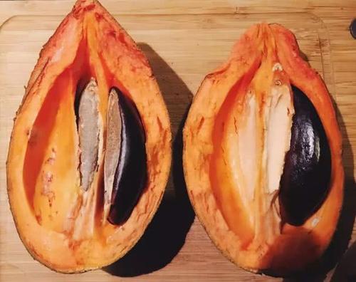 世界这么大你知道有几种水果吗,世界上都有哪些可以吃的水果