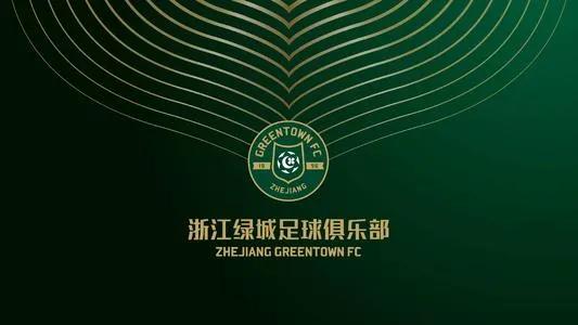 宋卫平足球新闻发布会,宋卫平个人简介