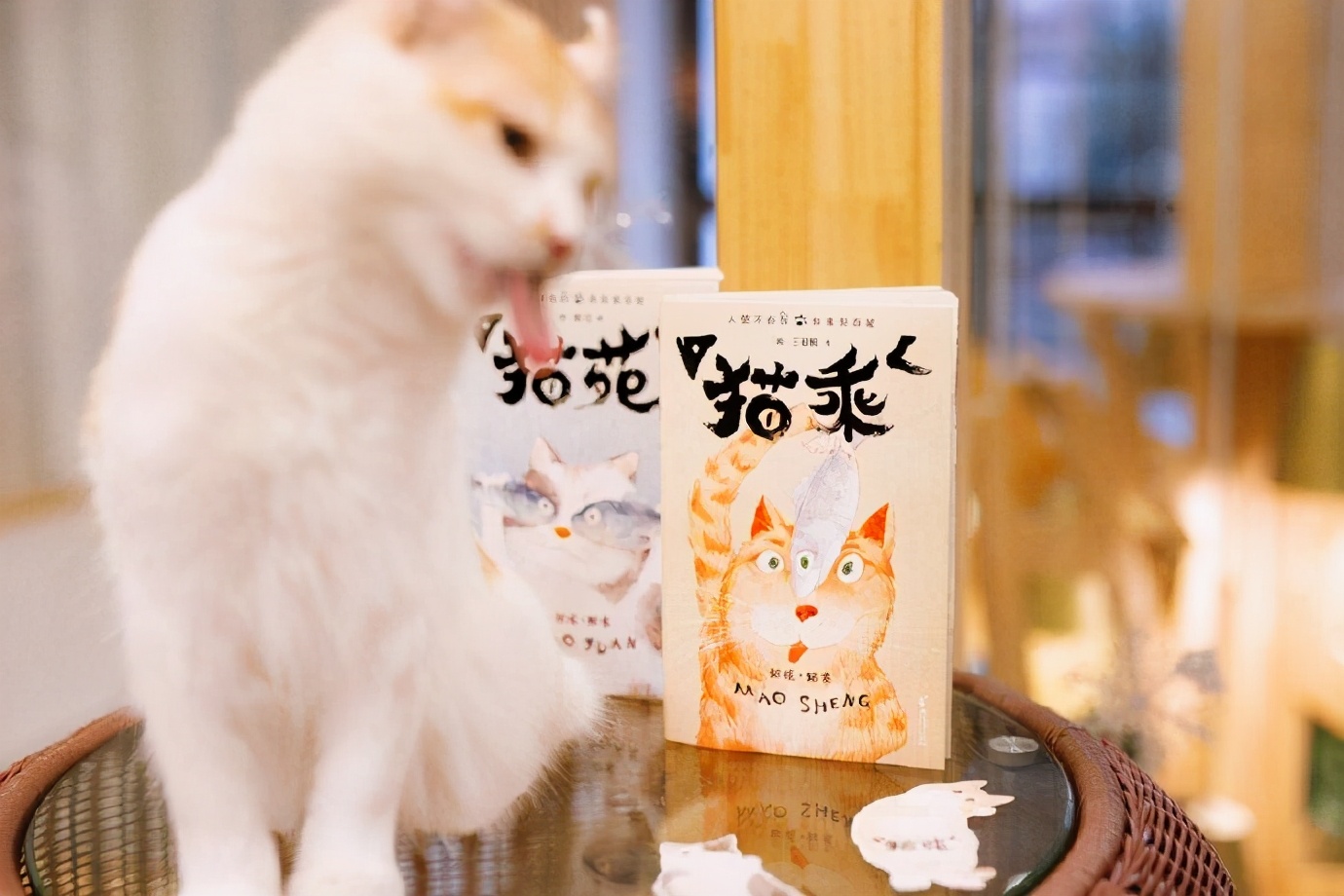 古代人养猫的历史,古人撸猫的仪式比纳妾还复杂