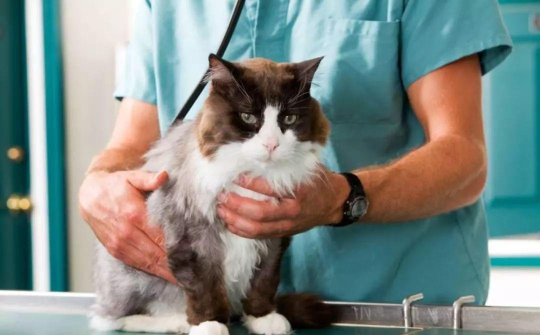 紧急扩散的重要通知,紧急预警扩散务必提高警惕