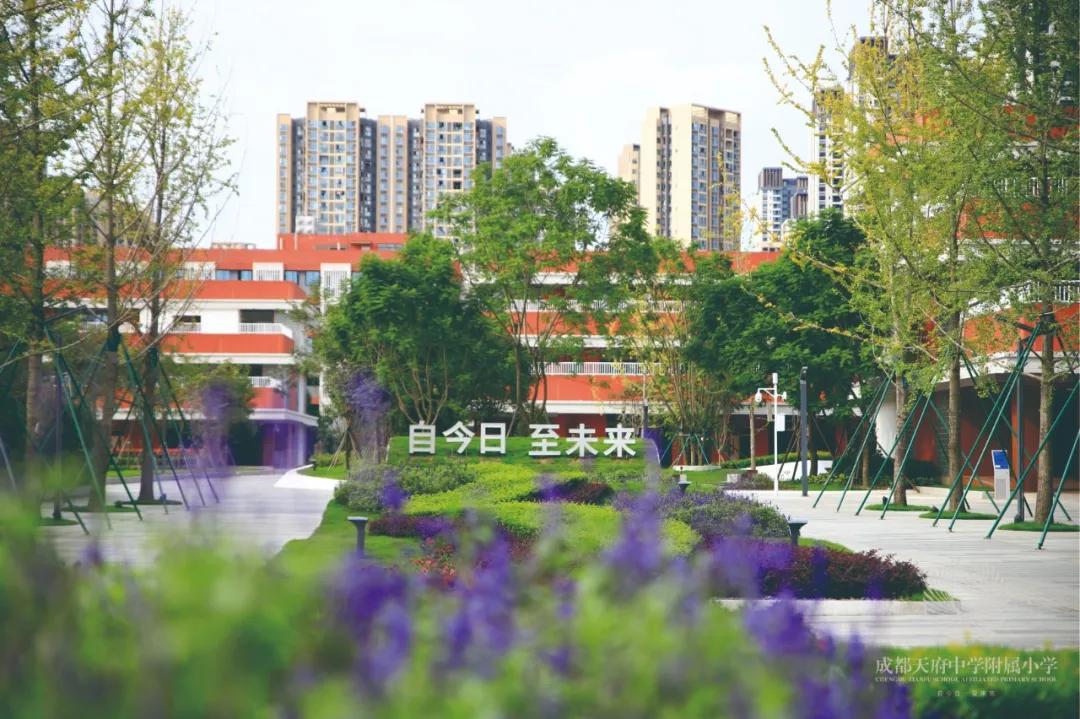 明年开学的天府中学附属小学怎么样?我们跟陆枋校长聊了聊