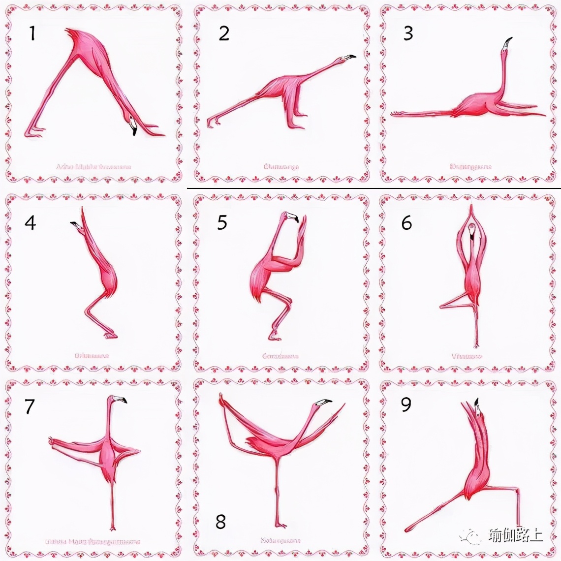 瑜伽梵文体式山式,哈他瑜伽体式梵文发音