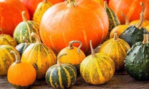 蒸南瓜为什么要倒扣,蒸南瓜为啥难吃