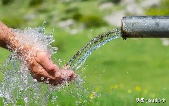 创小报18期：华为月薪7w招聘，东京超标，宠物盲盒，五五购物节