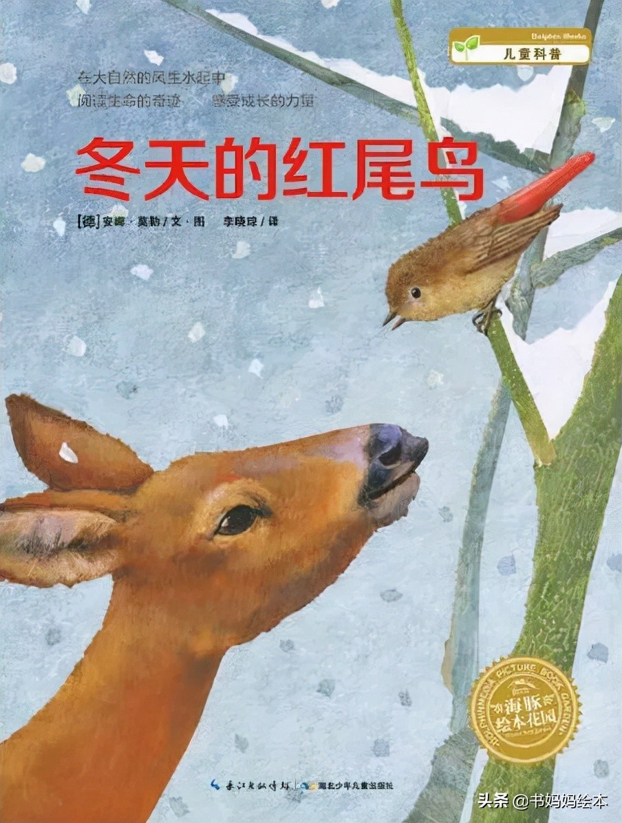 立冬绘本故事完整版,立冬绘本