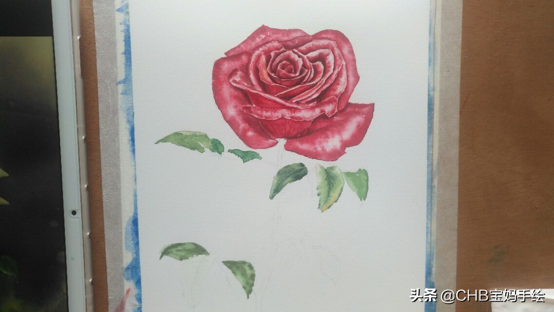 水彩画初学者零基础教程玫瑰花,水彩画教程入门玫瑰花慢教程