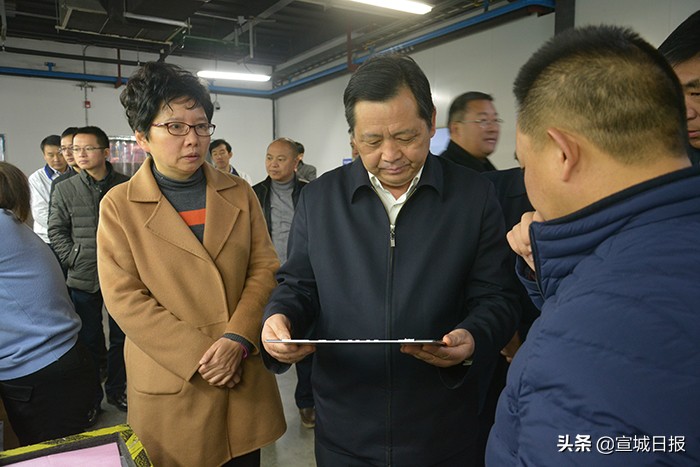 陶方启任职公示,宣城市陶方启公示