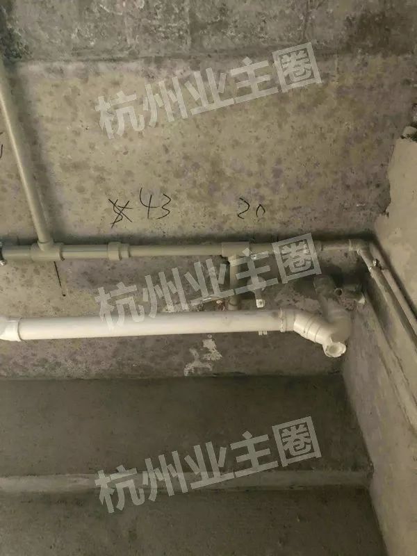 绿都什么意思,绿都包括哪些绿