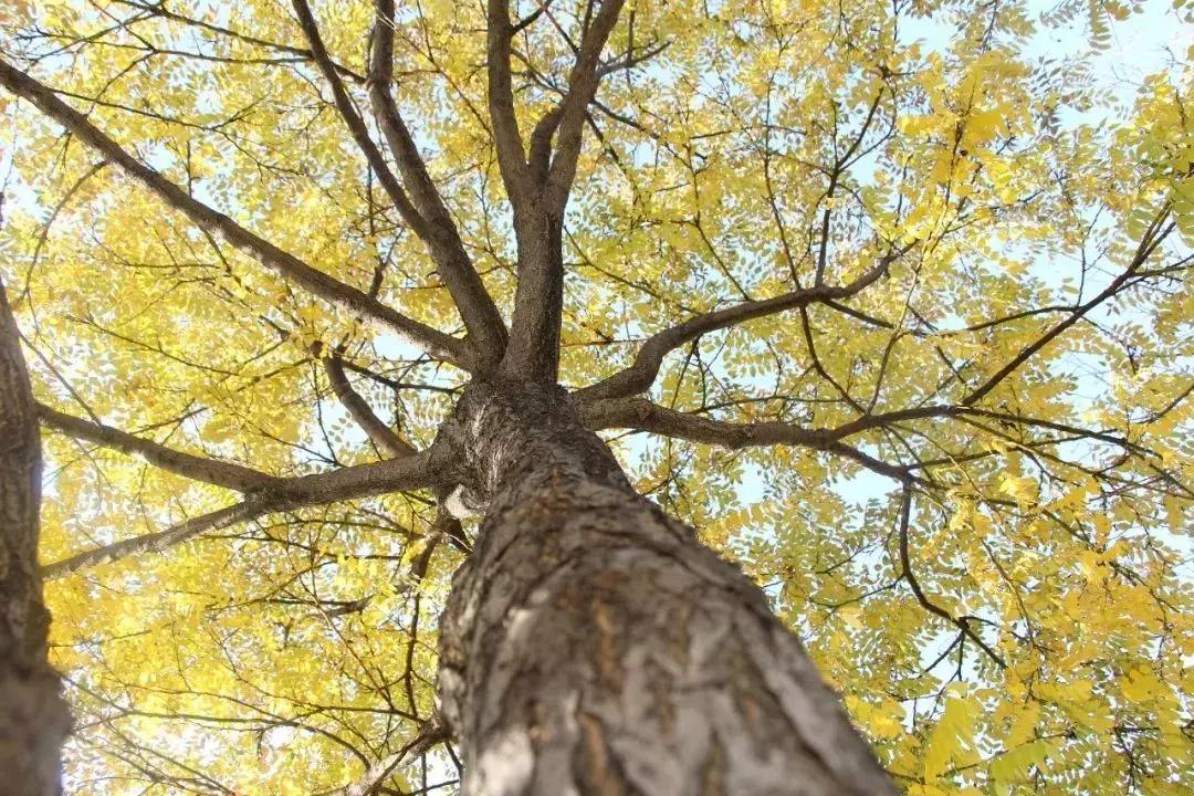 和青春不期而“榆”,请来榆林职院