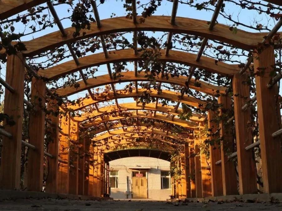 沈阳医学院在辽宁排名,沈阳医学院全面介绍