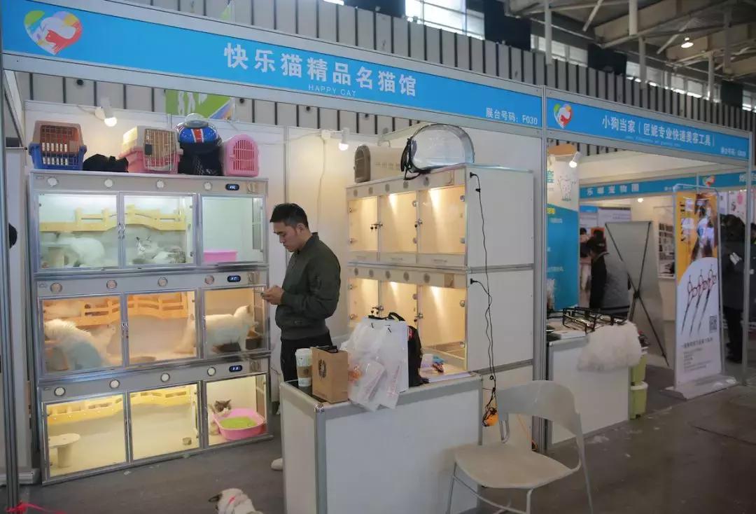 2019年第161届中国宠物文化节,2018年宠物文化节