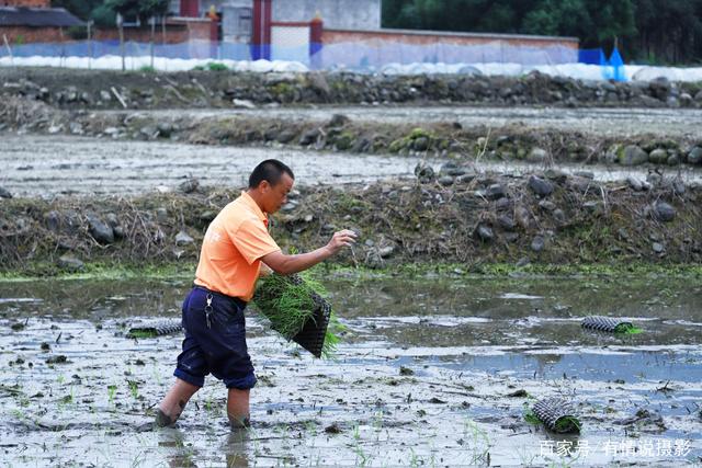 五一旅拍途中,我竟然在这山里当了“耕夫”