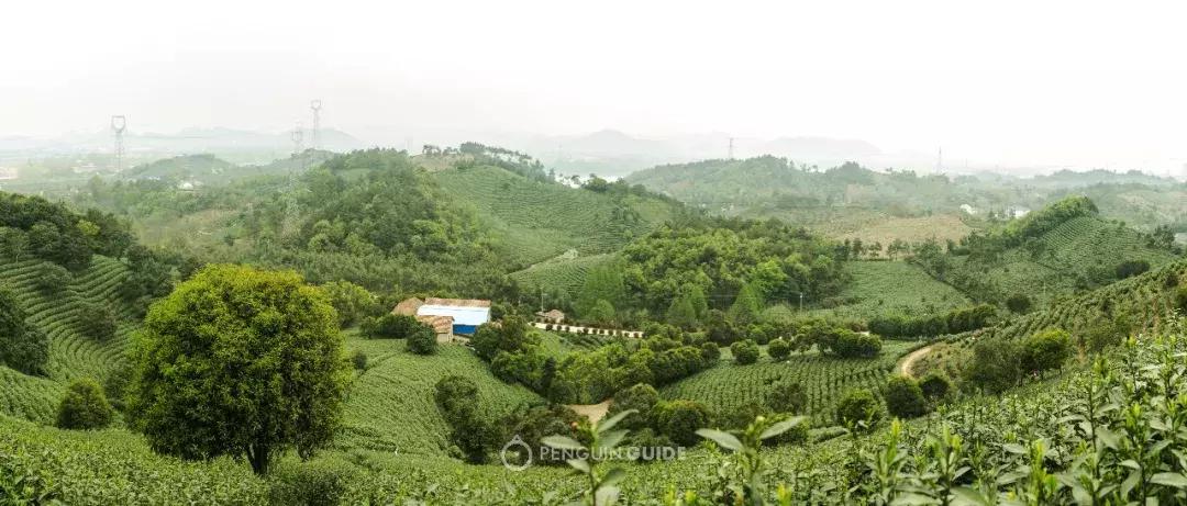 湖州:一座太湖南边的宝藏小城,春笋湖鲜河鱼,嘴巴好忙