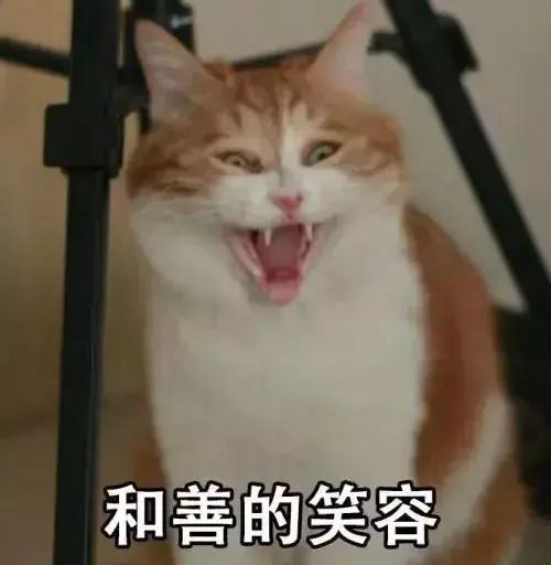 有没有办法让猫咪拉屎不臭,猫咪嘴臭是怎么回事