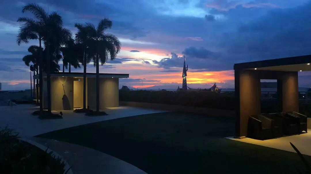 单身狗吃饭旅游走走停停 (单身狗吃饭旅行走走停停)