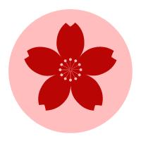 央视boys四人组谁最火,央视boys有多优秀