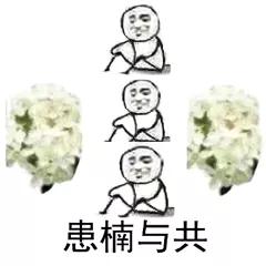 这几天的松江，可真叫人左右为“楠”……