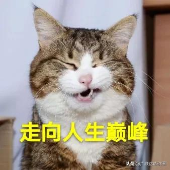 钢结构工程量怎么算比较方便,基础钢筋计算公式