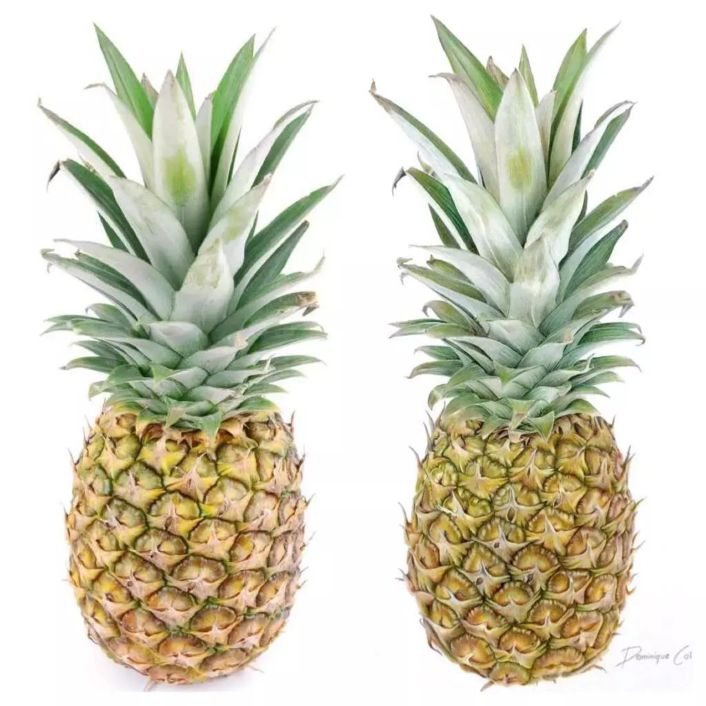 彩铅如何画得非常细腻,彩铅画的很好看零基础