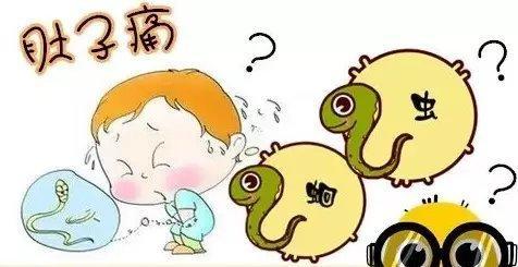7岁男童肚子有蛔虫的表现,7岁男童肚子里蛔虫