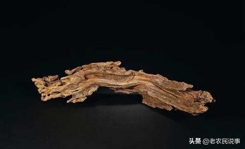 田间发现沉香木,家里烧沉香和沉香木区别