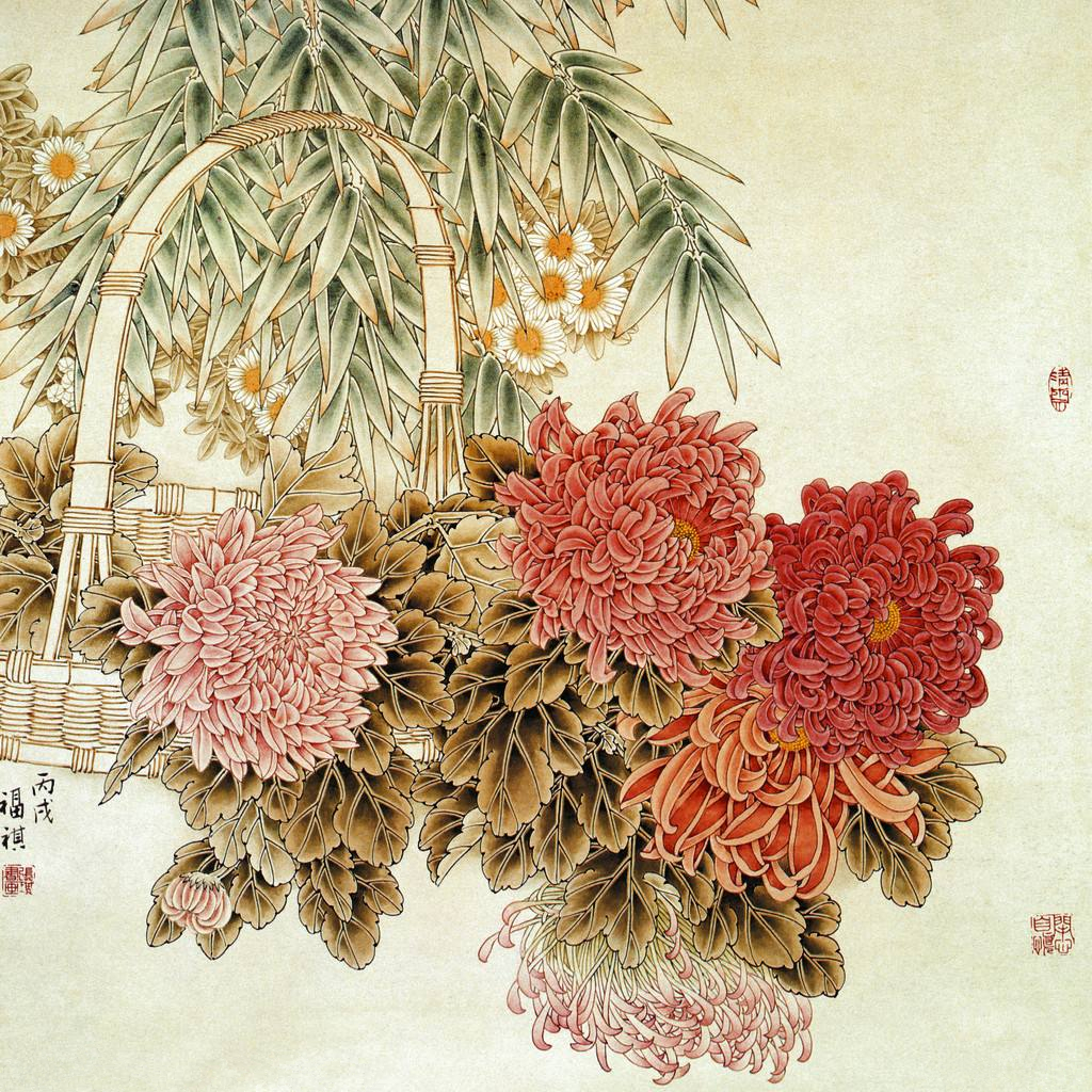 菊花的品格和精神,菊花的美丽什么意思