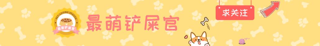 土狗为什么不会看家,土狗为什么不需要驱虫