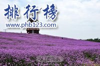 成都旅游必去的十大景点推荐,成都旅游必去十大景点推荐
