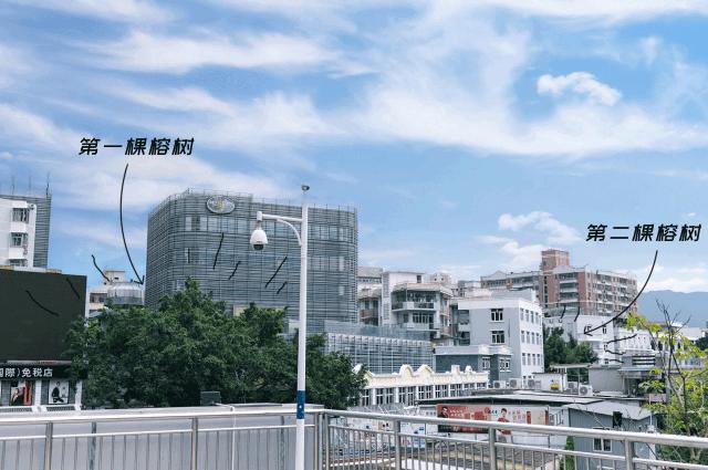 中英街深圳小香港,中英街深圳香港