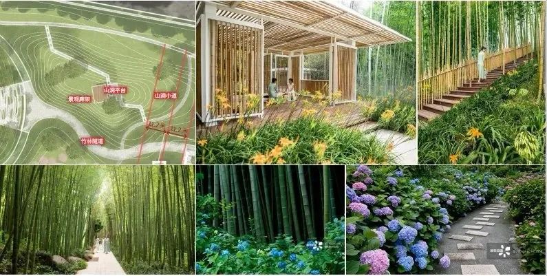 彭山竹韵廊在什么地方,彭山区竹韵廊公园航拍