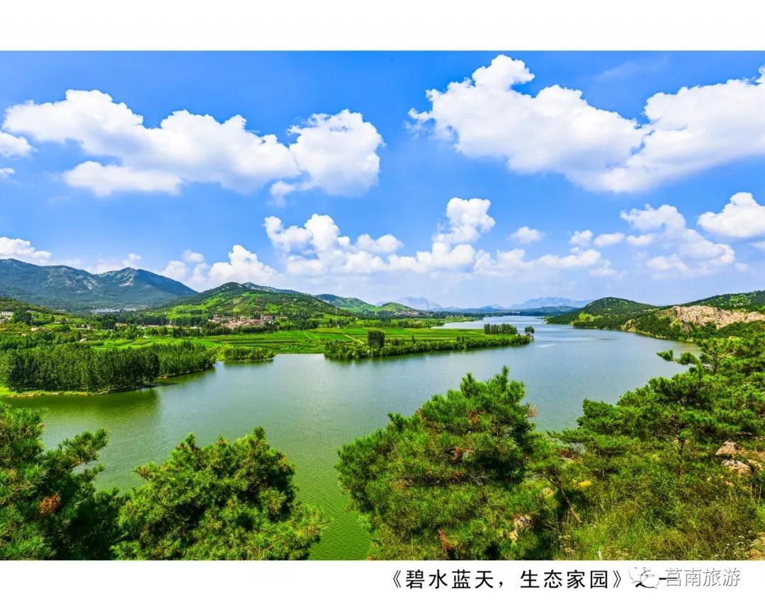 悦享莒南|惊艳了莒南蓝，温暖了遇见