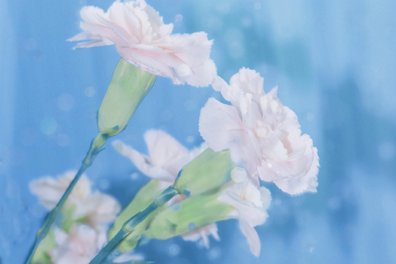 狮子座最害怕的特点是什么,狮子座无敌巨帅