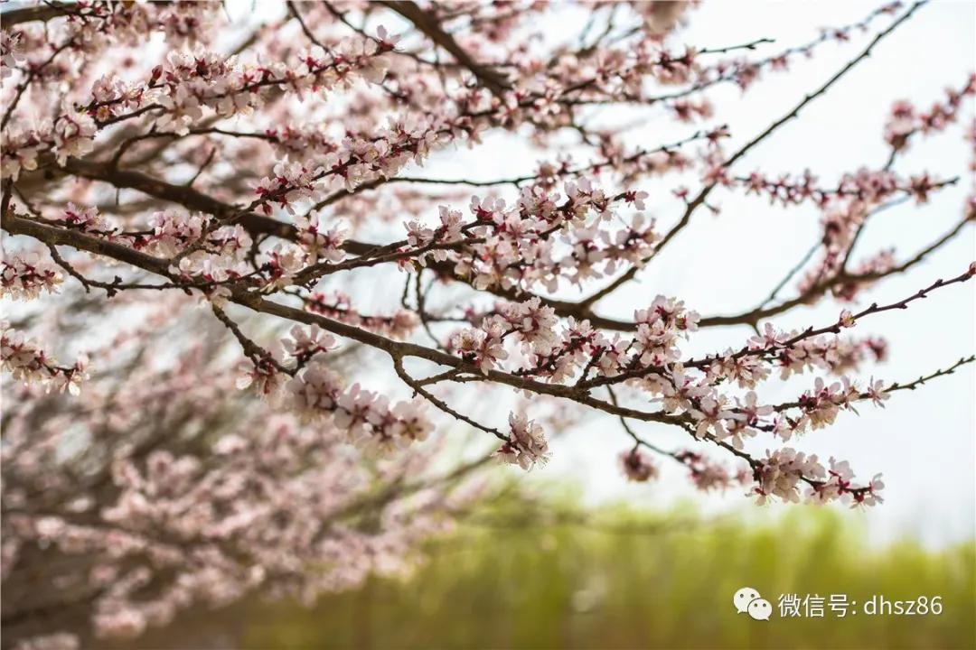 敦煌山庄游玩攻略,敦煌山庄旅游攻略