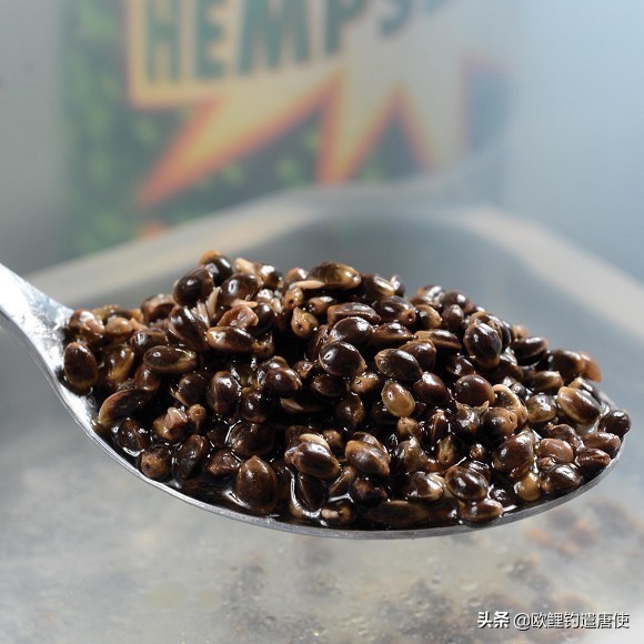 话说欧鲤钓组全集,欧鲤钓法pva