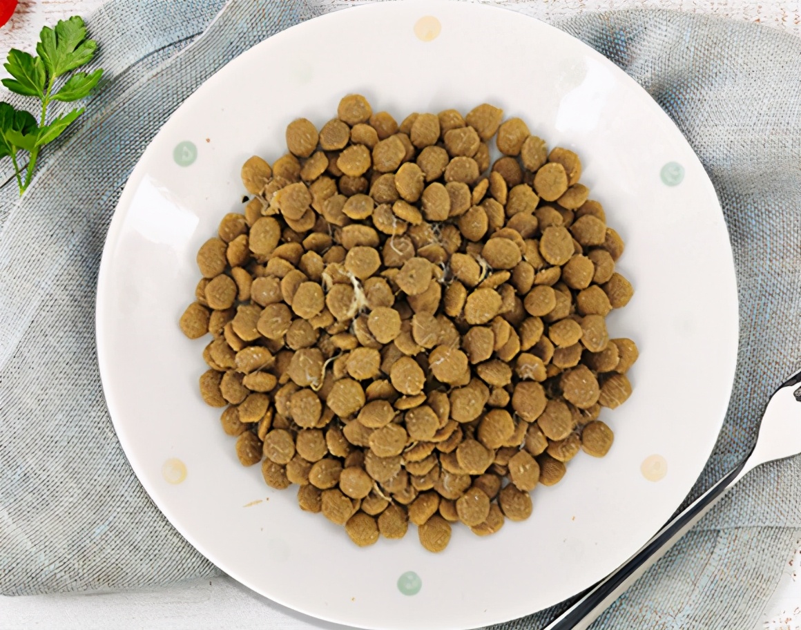 国产狗粮哪个牌子最好吃又便宜,东莞柴犬狗粮推荐平价狗粮