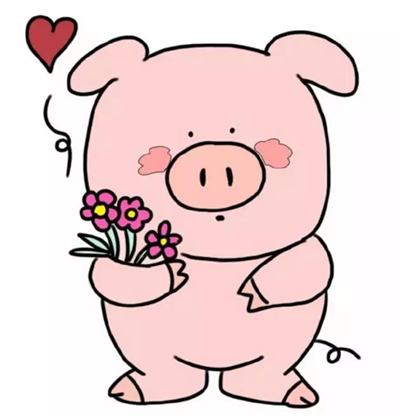 可爱猪怎么画？手把手教你画不同形态的猪，愿猪年诸事顺利！