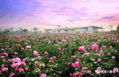 甘肃兰州最大的几个镇,兰州第一大县是哪个县