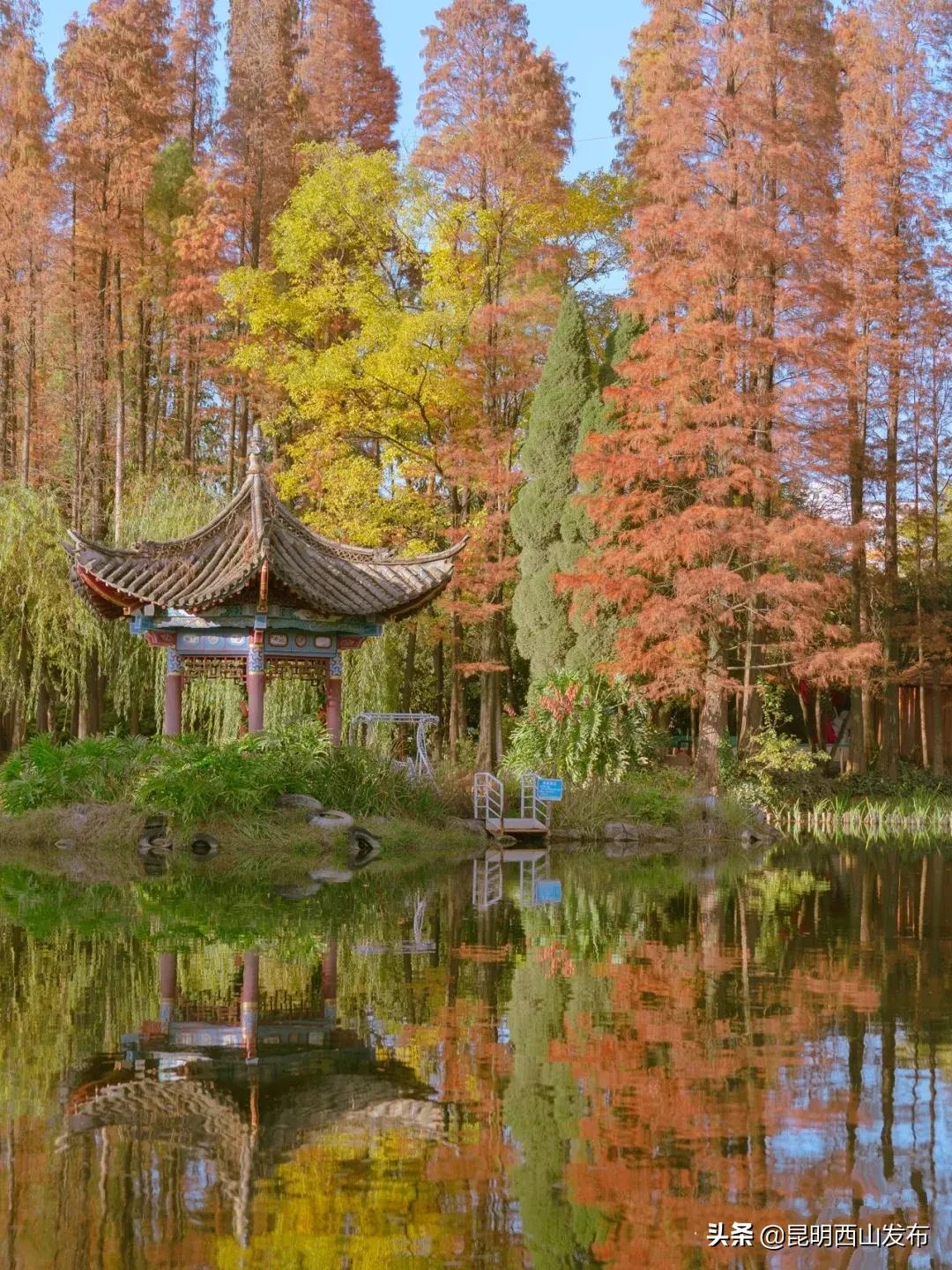 旅游新发现小众经典,旅游发现的风景