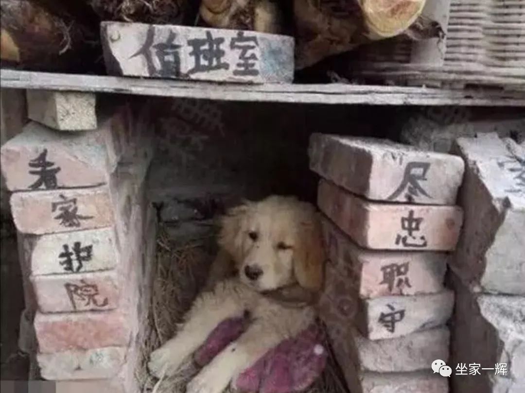 最新防割韭菜套路骗局揭秘,揭秘骗子那些割韭菜套路