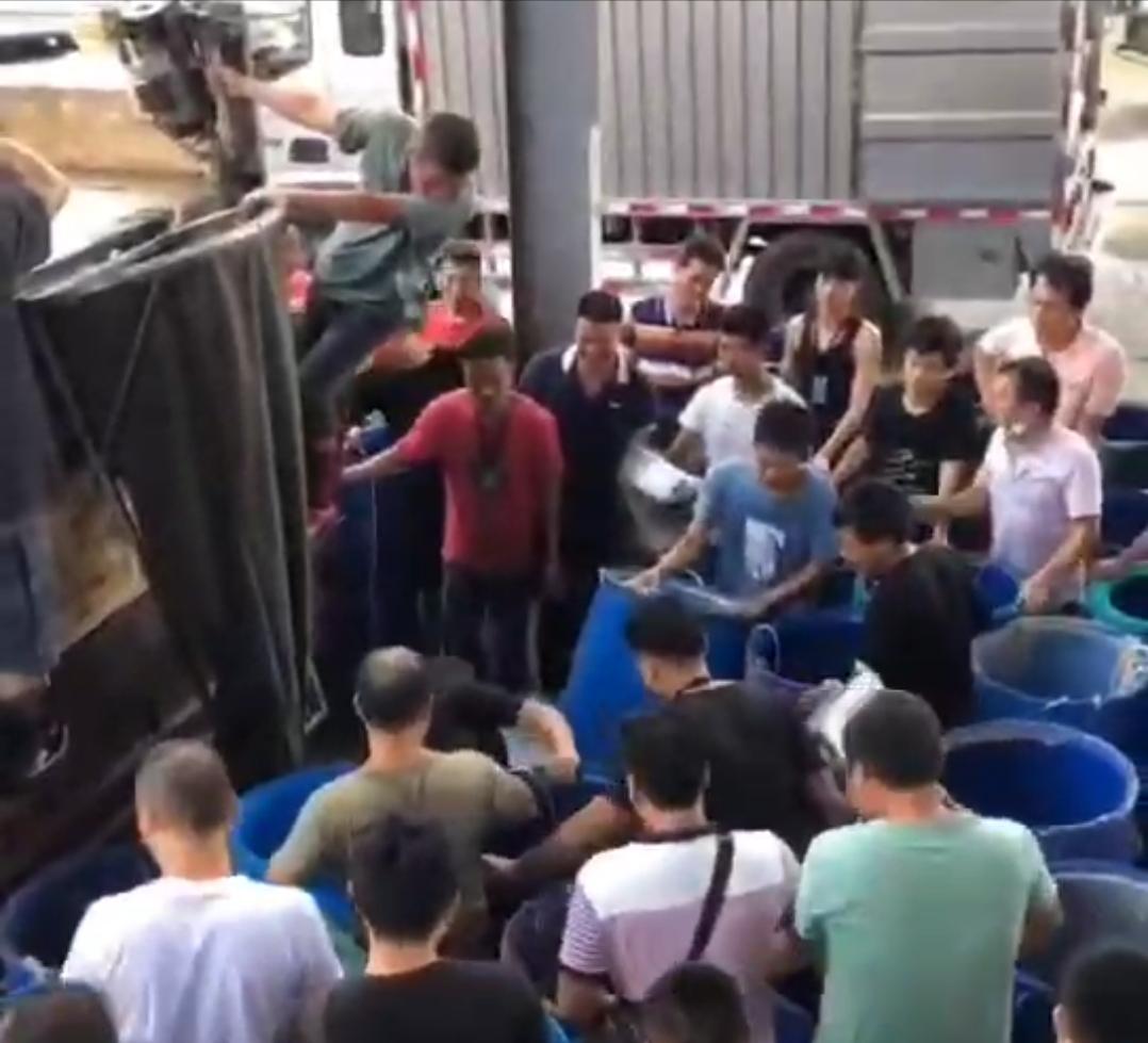 鍦ㄦ繁鍦冲崠楸兼湁澶氬皯鍒╂鼎,娣卞湷鍗栭奔鐨勫競鍦哄湪鍝噷