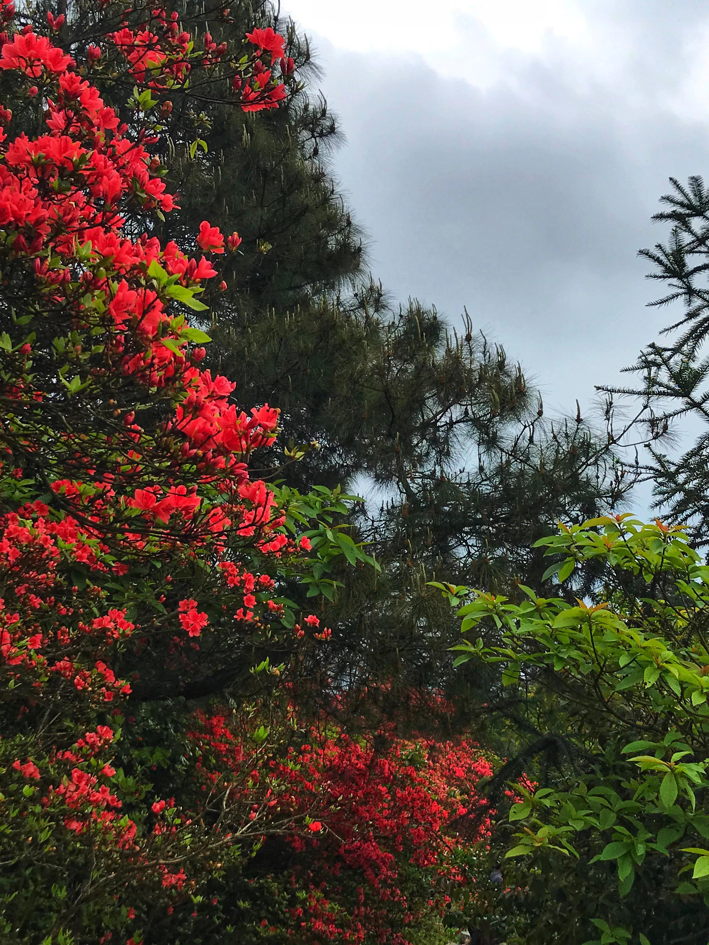 *合六**顺账户交易纪实（211111）