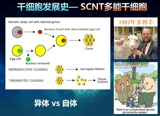 能抗衰的干细胞,干细胞抗衰的潜力