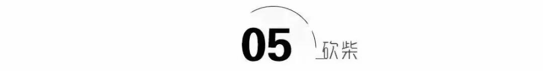 申通创始人去世，高管们自立门户，妻子陈小英出招改变中国快递业