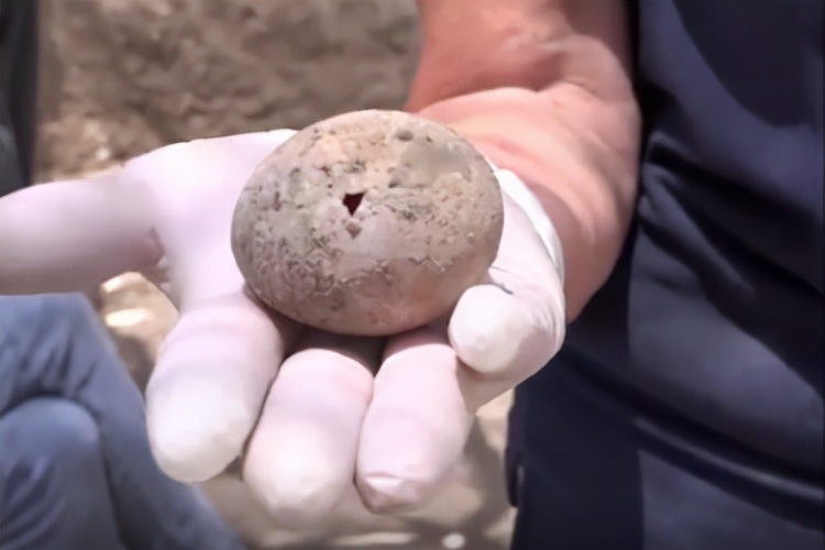 买鸡蛋挑白壳还是红壳,买红壳鸡蛋还是白壳鸡蛋好